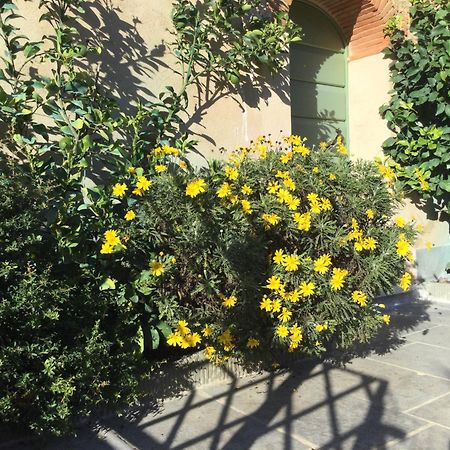 Casa Mita Con Pacchetto Mare Incluso Villa Camaiore Buitenkant foto