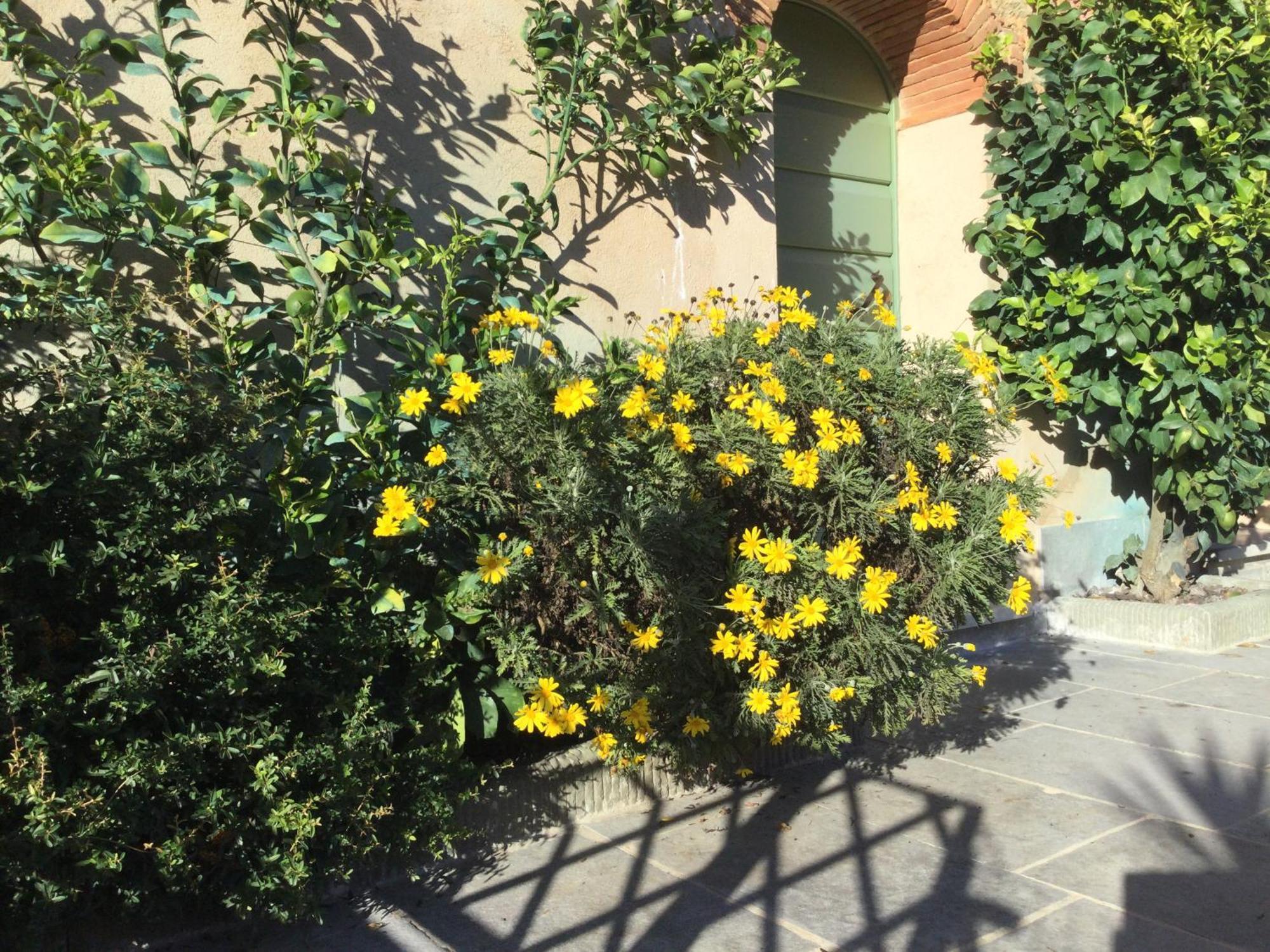 Casa Mita Con Pacchetto Mare Incluso Villa Camaiore Buitenkant foto