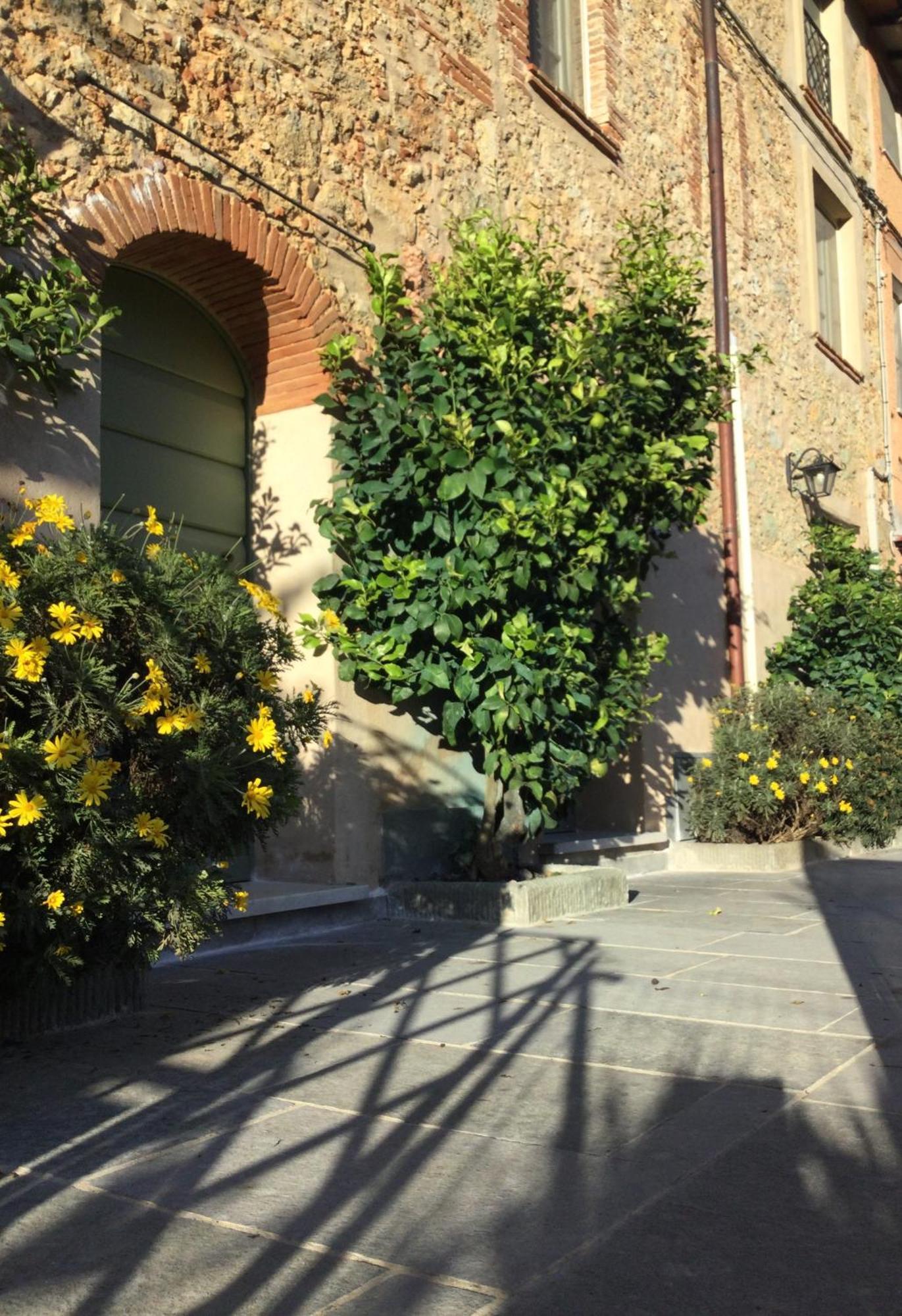 Casa Mita Con Pacchetto Mare Incluso Villa Camaiore Buitenkant foto